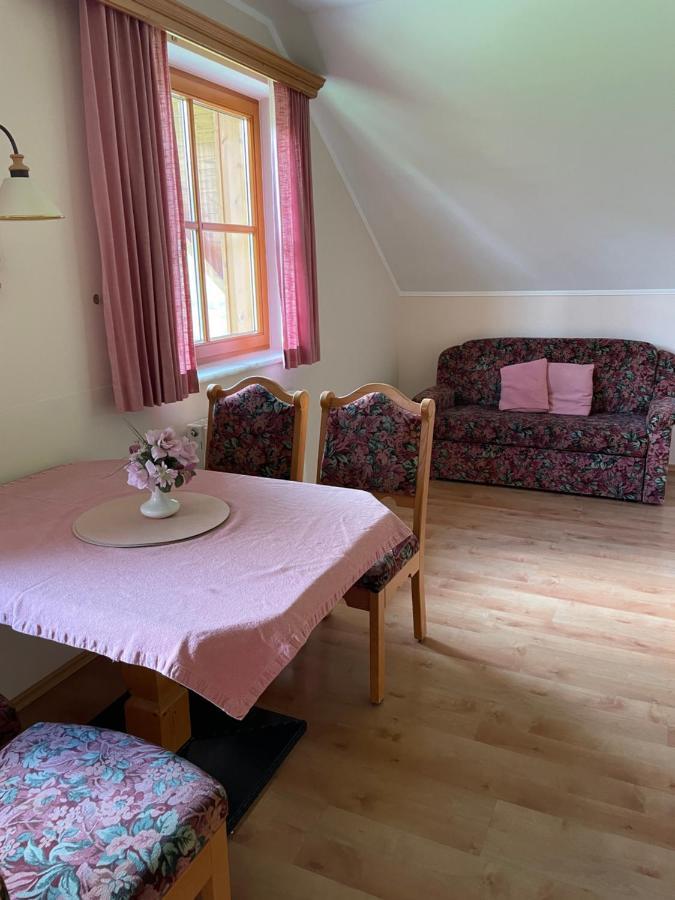 Ferienhaus Alpenblick Krakauschatten Kültér fotó