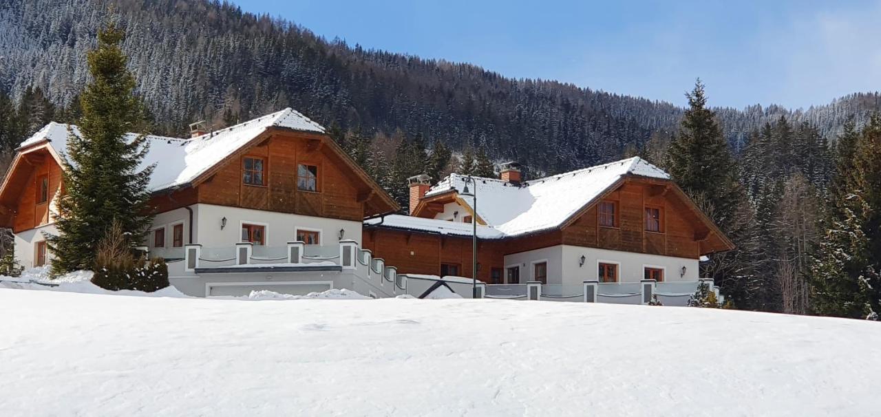 Ferienhaus Alpenblick Krakauschatten Kültér fotó